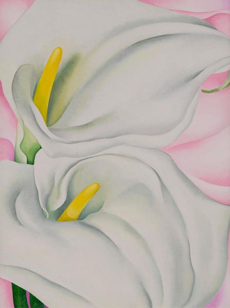 Zwei Callalilien auf Rosa, 1928 | O'Keeffe