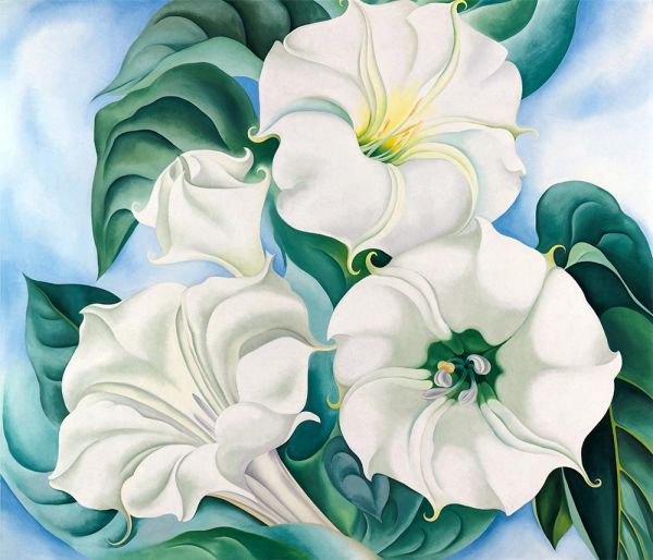 Stechapfel, 1936 | O'Keeffe
