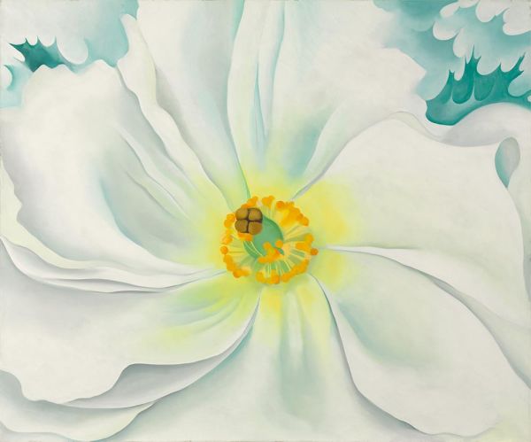 Weiße Blume, 1929 | O'Keeffe