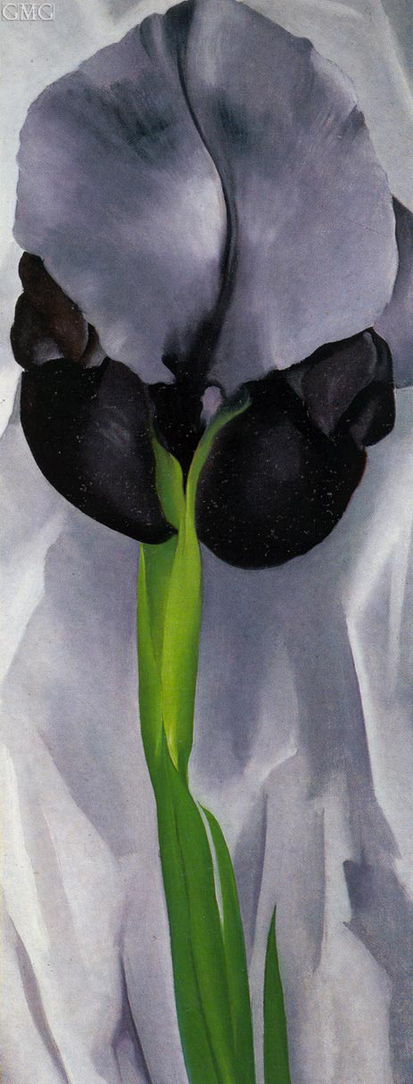 Dunkle Iris, 1929 | O'Keeffe | Giclée Leinwand Kunstdruck