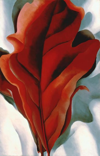 Large Dark Red Leaves on White, 1925 | O'Keeffe