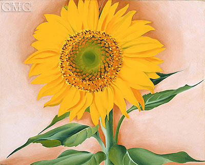A Sunflower from Maggie, 1937 | O'Keeffe | Giclée Canvas Print