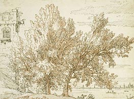Trees on the Shores of the Lagoon | Canaletto | Painting Reproduction