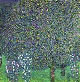 Roses Under the Trees, 1905 by Klimt | Canvas Print