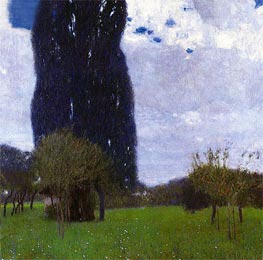 The Tall Poplar I, 1900 by Klimt | Canvas Print