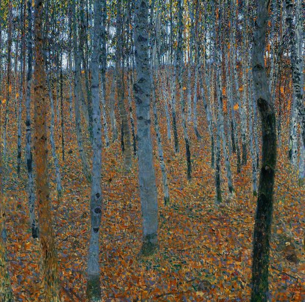 Beech Forest I (Buchenwald), c.1905 | Klimt | Giclée Leinwand Kunstdruck
