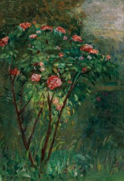 Rose Bush in Flower, c.1884/86 by Caillebotte | Canvas Print