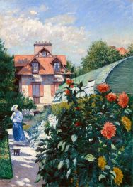 Dahlias, the Garden at Petit-Gennevilliers, 1893 by Caillebotte | Canvas Print