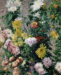 Weiße und gelbe Chrysanthemen. Garten von Petit Gennevilliers, 1893 von Caillebotte | Leinwand Kunstdruck