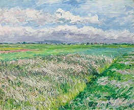 Die Felder, eine Ebene in Gennevilliers, 1884 von Caillebotte | Leinwand Kunstdruck