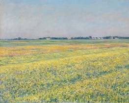 Die Ebene von Gennevilliers, gelbe Felder, 1884 von Caillebotte | Giclée Leinwand-Kunstdruck