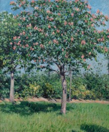 Pink Chestnut Tree, Plain of Argenteuil, c.1883 | Caillebotte