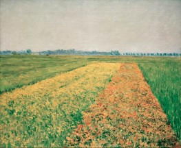 The Plains of Gennevilliers, Yellow Fields, 1884 by Caillebotte | Canvas Print