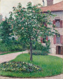 Tree in Blossom, 1882 by Caillebotte | Canvas Print