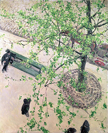 Boulevard seen from Above, 1880 | Caillebotte | Giclée Canvas Print