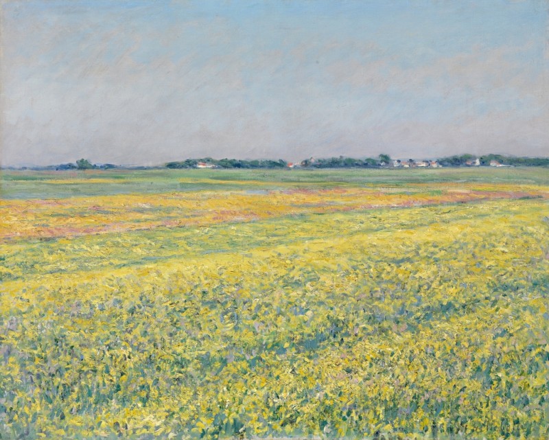 The Plain of Gennevilliers, Yellow Fields, 1884 | Caillebotte | Giclée Canvas Print