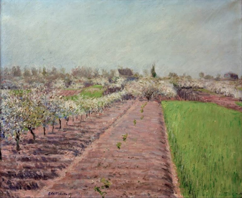 Blossoming Apple Trees, Hill of Colombes, c.1883 | Caillebotte | Giclée Canvas Print