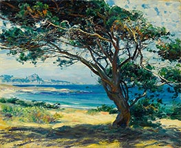 Wind Swept Pines | Guy Rose | Painting Reproduction