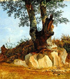 A Tree in Campagna, c.1822/23 by Heinrich Reinhold | Canvas Print