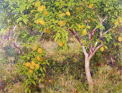 The Lemon Tree, 1893 | Tuke | Giclée Canvas Print