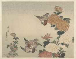 Spatzen und Chrysanthemen, 1815 | Hokusai