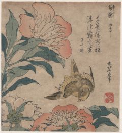Pfingstrose und Kanarienvogel, n.d | Hokusai