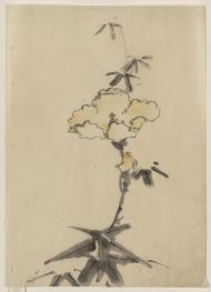 Gelbe Blüte mit Knospe auf einem Stängel über Blättern, n.d | Hokusai