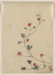 Kleine rote Blüten an einer Rebe, n.d | Hokusai