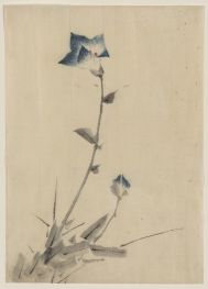 Blaues Blumenblüten und Knospe am Ende eines Stängels, n.d | Hokusai