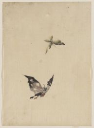 Schmetterling und Motte, n.d | Hokusai