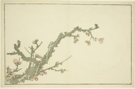 Blühender Pflaumenbaum, aus dem Bilderbuch der realistischen Gemälde von Hokusai, 1814 | Hokusai