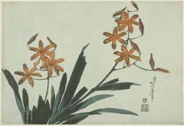 Orchideen in Orange, 1832 | Hokusai