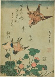 Raubwürger und Blaukehlchen mit Steinbrech und Wilder Erdbeere, 1834 | Hokusai