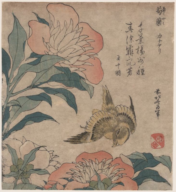 Pfingstrose und Kanarienvogel, n.d | Hokusai | Giclée Papier-Kunstdruck
