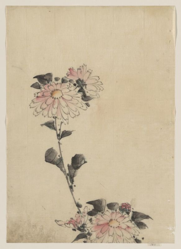 Rosa Blumenblüten..., n.d | Hokusai | Giclée Papier-Kunstdruck