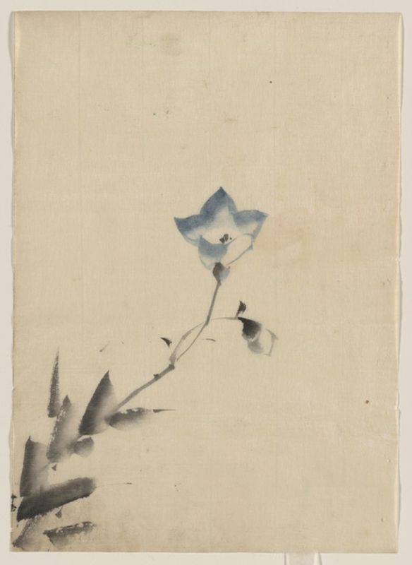 Blau blühende Blüte am Ende eines Stiels, n.d | Hokusai | Giclée Papier-Kunstdruck
