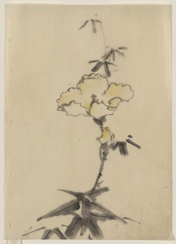 Gelbe Blüte mit Knospe auf einem Stängel über Blättern, n.d | Hokusai | Giclée Papier-Kunstdruck