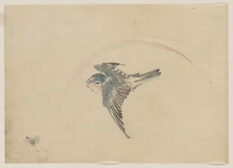 Ein Vogel, der nach links fliegt, von oben gesehen, n.d | Hokusai | Giclée Papier-Kunstdruck