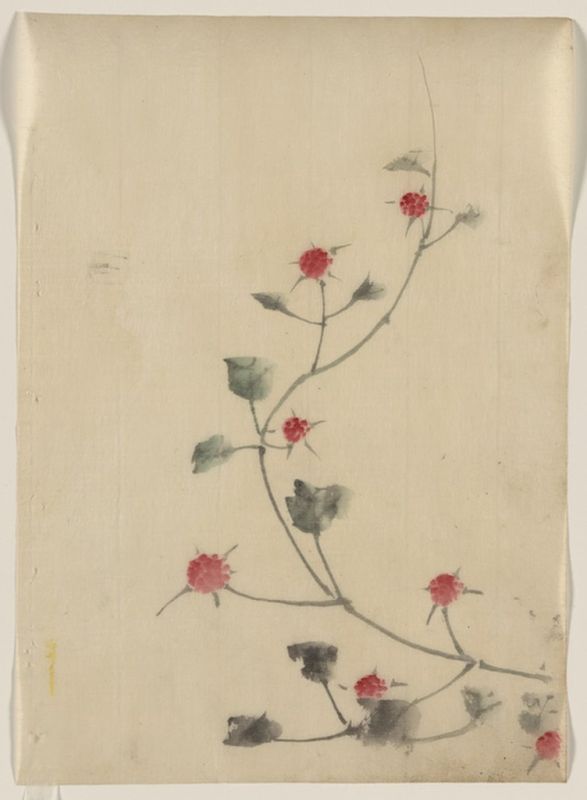 Kleine rote Blüten an einer Rebe, n.d | Hokusai | Giclée Papier-Kunstdruck