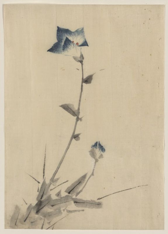 Blaues Blumenblüten und Knospe am Ende eines Stängels, n.d | Hokusai | Giclée Papier-Kunstdruck