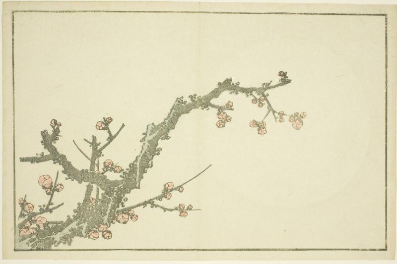 Blühender Pflaumenbaum, aus dem Bilderbuch der realistischen Gemälde von Hokusai, 1814 | Hokusai | Giclée Papier-Kunstdruck