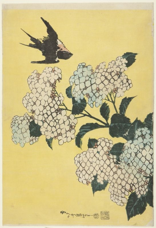 Hortensie und Schwalbe, 1833 | Hokusai | Giclée Papier-Kunstdruck