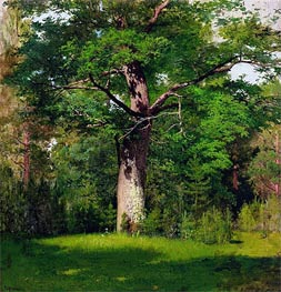 Oak, 1880 von Isaac Levitan | Leinwand Kunstdruck
