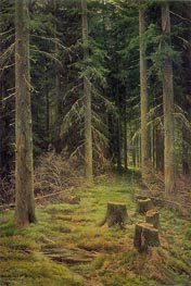 Nadelwald, 1873 von Ivan Shishkin | Leinwand Kunstdruck