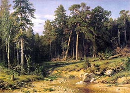 Pine Forest in Viatka Province, 1872 von Ivan Shishkin | Leinwand Kunstdruck