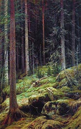 Der Dschungel, 1881 von Ivan Shishkin | Leinwand Kunstdruck