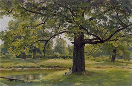 Ivan Shishkin | Oak Trees in Old Peterhof | Giclée Canvas Print