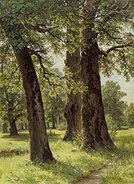 Oaks, 1887 by Ivan Shishkin | Art Print