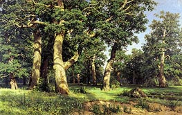 Oak Grove, 1887 von Ivan Shishkin | Leinwand Kunstdruck