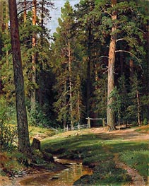 Forest Edge, 1884 von Ivan Shishkin | Leinwand Kunstdruck